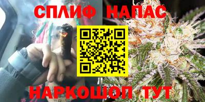 дурь Будённовск
